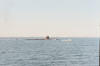 Sub at Pt Canaveral 02.jpg (361396 bytes)